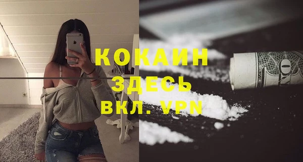 ешки Ельня