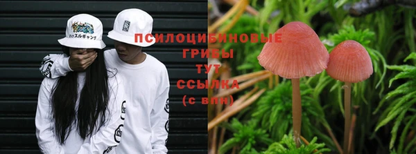 a pvp Алексин