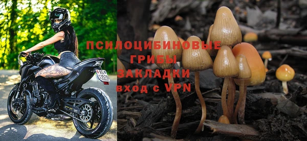 МДПВ Алексеевка