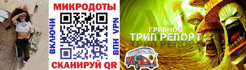 Галлюциногенные грибы Psilocybine cubensis  Элиста 